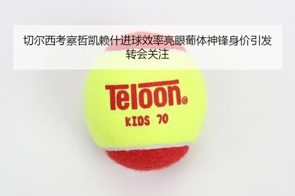 切尔西考察哲凯赖什进球效率亮眼葡体神锋身价引发转会关注